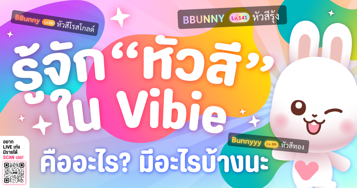 รู้จัก ” หัวสี ” ใน Vibie คืออะไร มีอะไรบ้าง